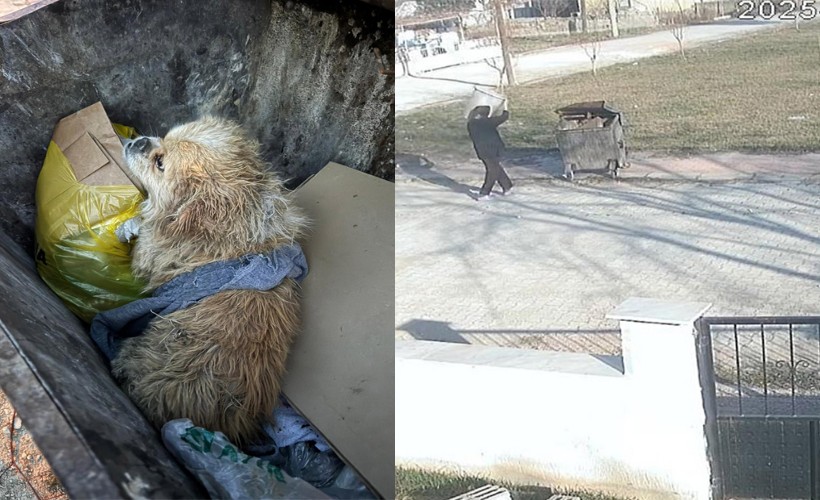 Ayaklarını bağladığı köpeği çöp konteynerine attı; o anlar kamerada