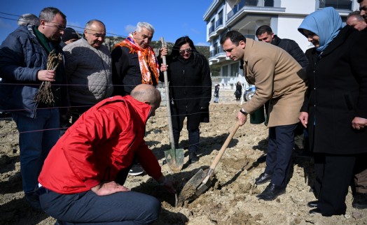 Bornova'da Misket Üzümü yeniden doğuyor