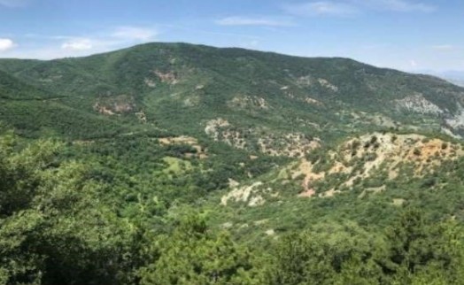 Cengiz Holding'in siyanürlü altın madeni projesinde yeni detaylar: 57 bin ağaç kesilecek