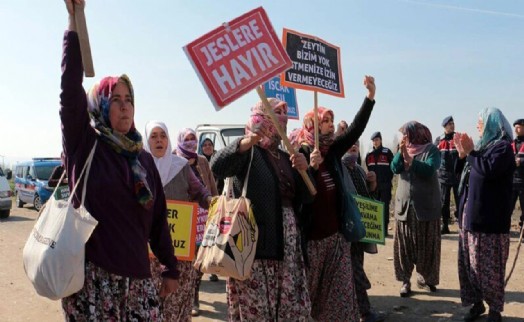 Ege'de doğa katliamı projeleri bitmek bilmiyor