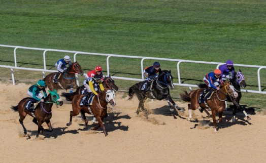 İzmir Büyükşehir Belediye Başkanlığı Koşusu'nu Wardenclyffe kazandı