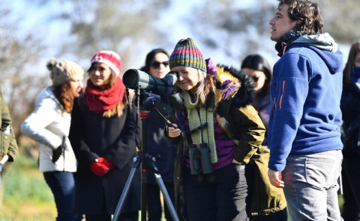 İzmir'in parklarında etkinlik var