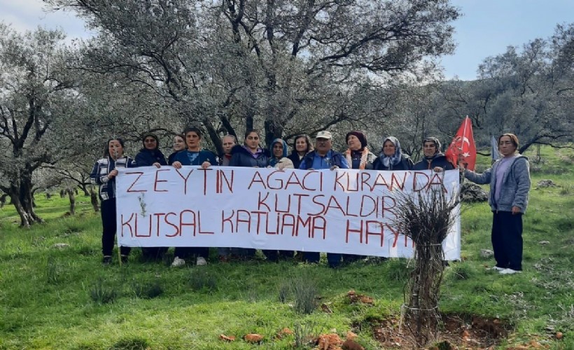 Kepçenin önüne çıkarak ağaç katliamını durdurdular: 'Biz bu kadar mı yokuz?'