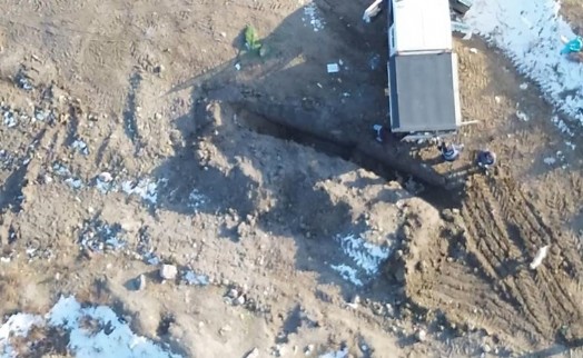 MHP'li belediyeden köpek katliamı: Diri diri gömdüler!