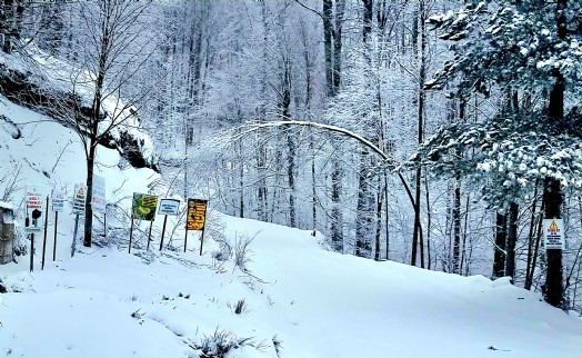 Domaniç'te kar ve buzlanma ulaşımı aksattı