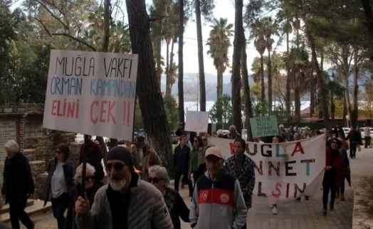 Gökova'da orman yok ediliyor, çevreciler ayakta