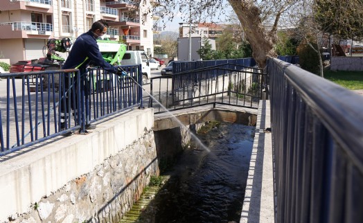 Kemalpaşa Belediyesi'nden haşere ve sineklere karşı etkin mücadele!