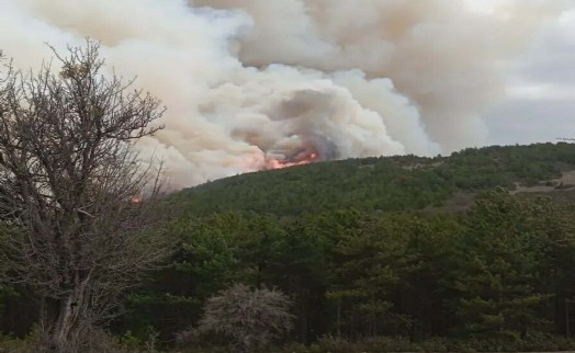 Kütahya'da orman yangını