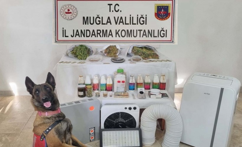 Muğla’da uyuşturucu operasyonu