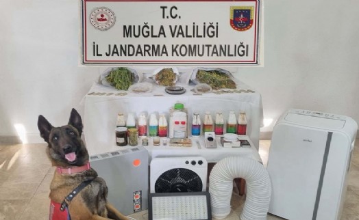Muğla'da uyuşturucu operasyonu