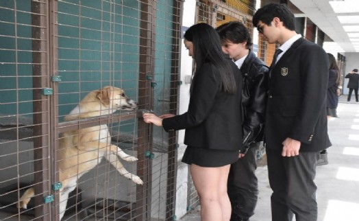 Otellerdeki gıda atıkları can dostlara mama olacak