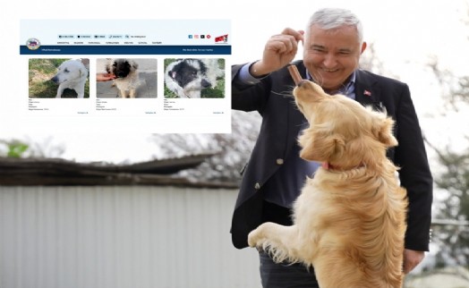 Sıcak yuvalara dijital köprü: E-Pati Kemalpaşa