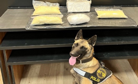 Uyuşturucu operasyonunda 1 tutuklama