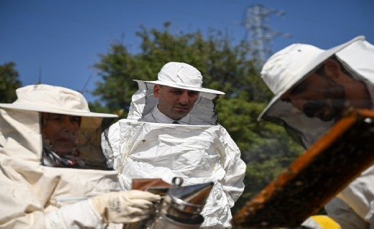 Bornova Belediyesi'nden arıcılığa tam destek!