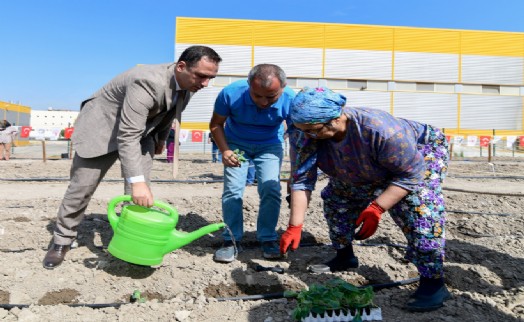 Bornova'da yeşil dönüşüm