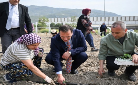 Bornovalı kadınlar Kent Bostanı'nda kendi elleriyle üretiyor