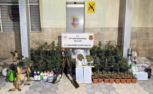 Evinde kenevir üreten 2 şüpheli yakalandı