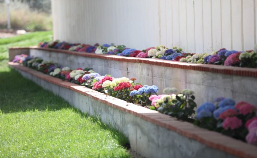 Güzelbahçe çiçek açtı