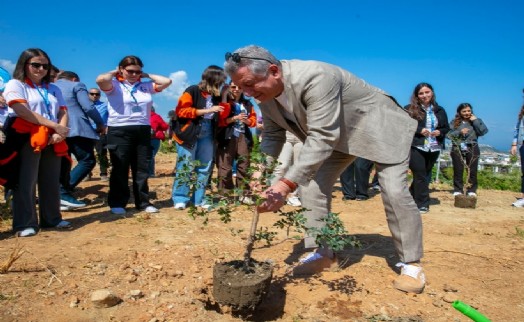 Güzelbahçe'de sakız ağaçları büyüyecek: 500 fidan dikildi!