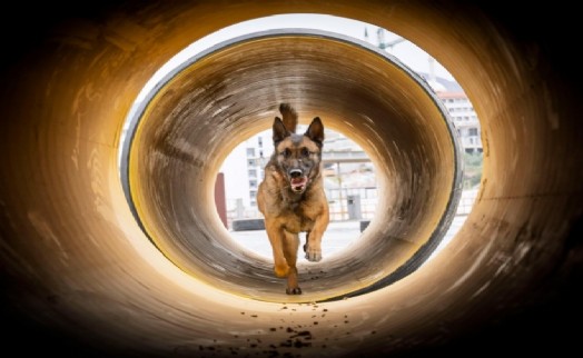 İki kardeş afetlerde mucize yaratıyor