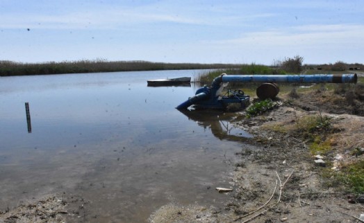 İzmir Körfezi tehlike altında!: 'Önlem alınmazsa tarımsal üretim biter'