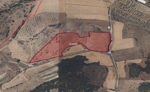 Kaçak kazı sonucunda ortaya çıktı: Tire'de koruma kalkanı!