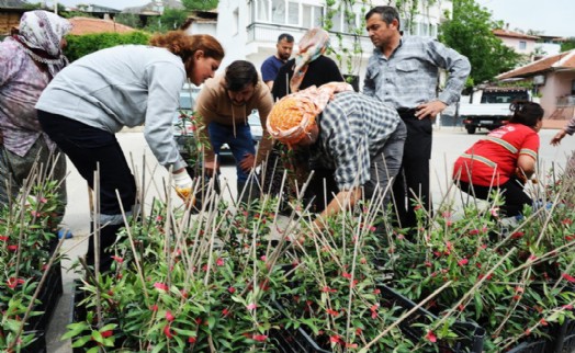 Karşıyaka Belediyesi'nden geleceği şekillendiren dayanışma: Sancaklı'da zeytin fidanı dağıtıldı