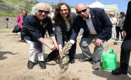 Karşıyaka'da zeytin fidanları toprakla buluştu