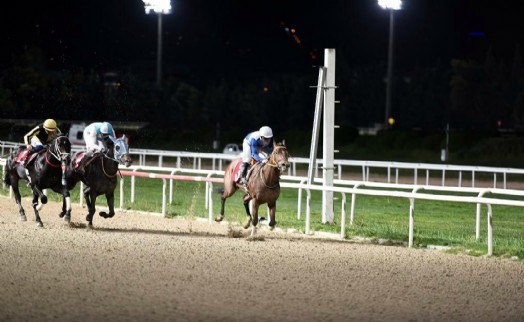 TSYD İzmir Şubesi Koşusu'nda 26'ncı heyecan