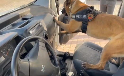 Zeyna zehir tacirlerine geçit vermedi!