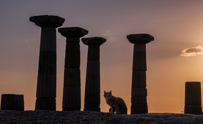 'Müzede An' Fotoğraf Yarışması’nın ödül töreni yapıldı