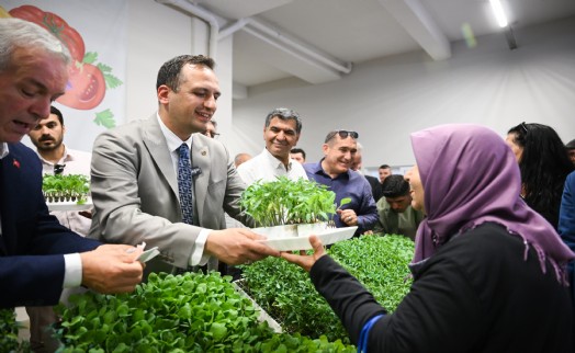Bornova'dan kırsala yeşil destek: Üreticiye 400 bin yazlık fide