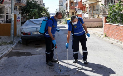 Buca'da ilaçlama çalışması: Haşerelere geçit yok