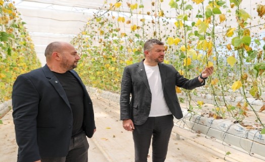 Buca'da toplu fide dikimi yapılacak; Başkan Duman'dan çağrı!