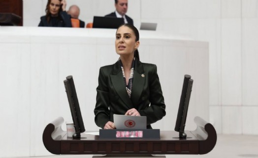 CHP'li Özcan: Hayvanların yaşam hakkını gasp eden yasa, belediyelere de baskı aracına dönüştü