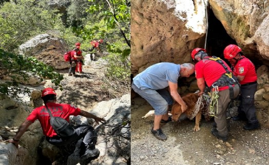 Dere yatağında mahsur kalan köpeği, AKUT ekibi kurtardı
