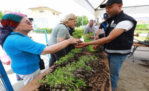 Efes Tarlası'dan halk sofrasına: 14 bin fide halkla buluştu