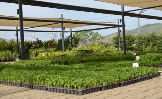 Efes Tarlası'nda üretim iş birliği