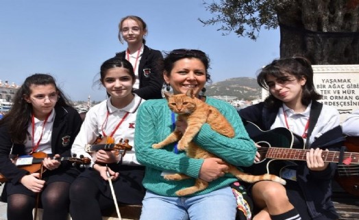 Foça'da sokak ve barınak hayvanlarına sıcak ilgi