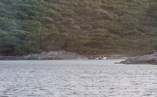 Girişi yasaklı Milli Park'a ziyaret pahalıya patladı