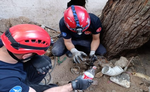 İzmir İtfaiyesi havalandırma bacasına sıkışan kediyi kurtardı