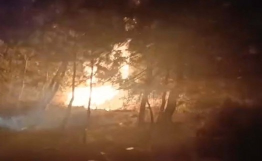 İzmir'de orman yangını çıkaran 5 defineci tutuklandı