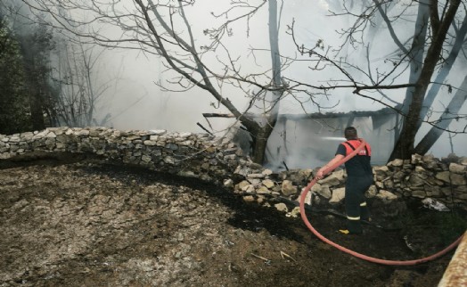 Kütahya'da 4 kümes yandı; 100 tavuk öldü