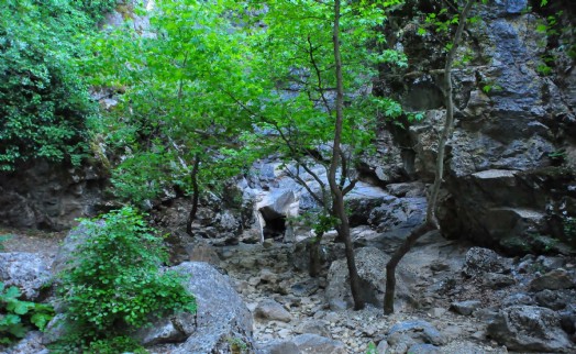 Manisa'da 'saklı kanyon' kurudu