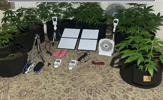 Metruk binada Hint keneviri yetiştiren üniversiteliye gözaltı