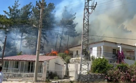 Muğla'daki orman yangını kontrol altına alındı
