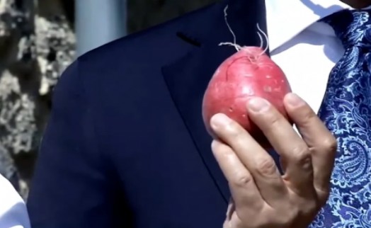 Türkiye'nin turp üretim merkezi bakın neresi çıktı