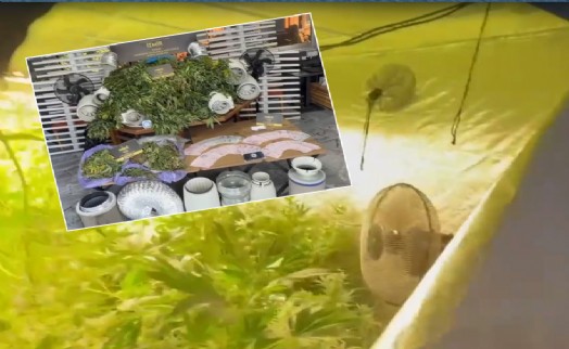 Zehir villasına baskın: Özel sera kurmuş!