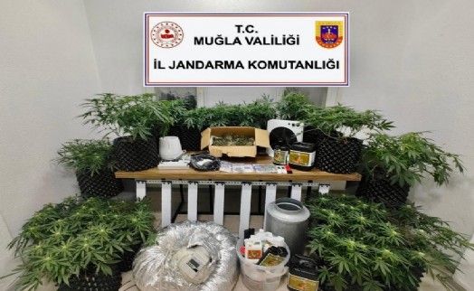 'Zehir' ticaretine jandarmadan operasyon