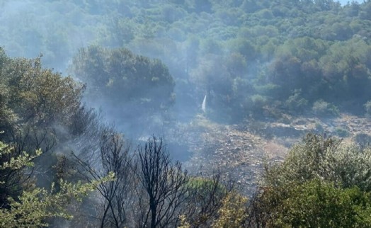 Aydın'da çıkan orman yangını kontrol altında